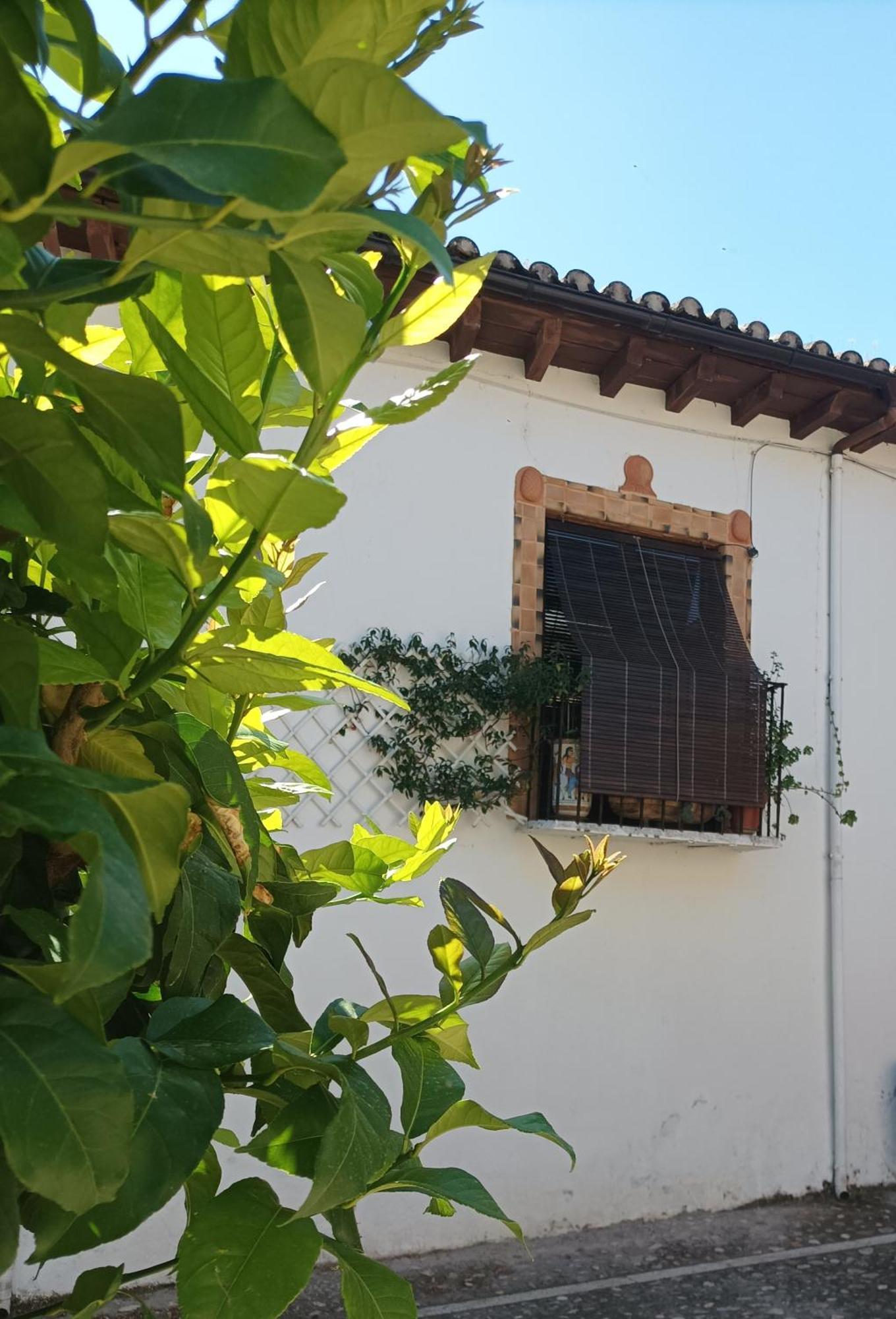 La Solana, Alojamiento Y Alfareria Arenas de San Pedro Exteriör bild